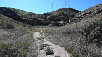 Enlarge photo 10