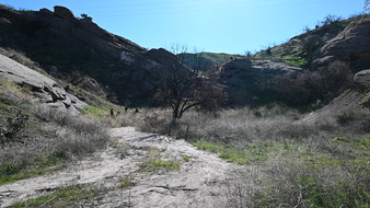 Enlarge photo 11