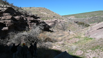 Enlarge photo 15
