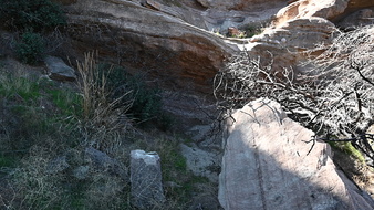 Enlarge photo 17