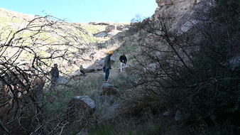 Enlarge photo 18