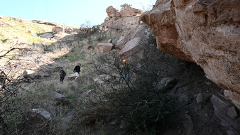 Enlarge photo 19