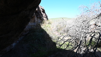 Enlarge photo 20