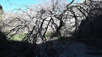 Enlarge photo 21