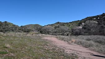 Enlarge photo 31