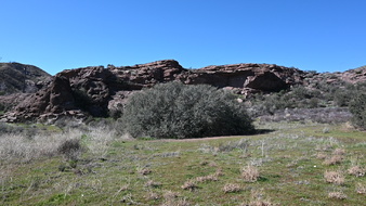 Enlarge photo 33