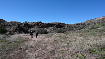 Enlarge photo 34