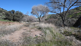 Enlarge photo 35