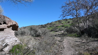 Enlarge photo 36