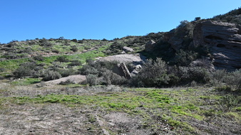 Enlarge photo 37