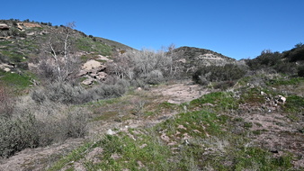 Enlarge photo 38