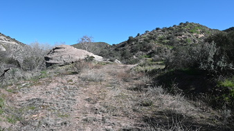 Enlarge photo 39