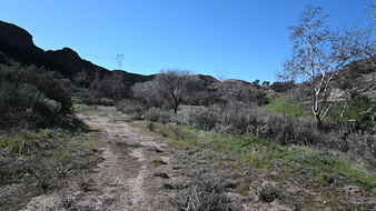 Enlarge photo 40