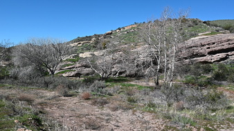 Enlarge photo 41