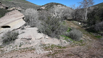 Enlarge photo 42