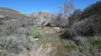 Enlarge photo 43