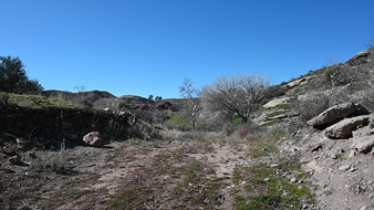 Enlarge photo 44