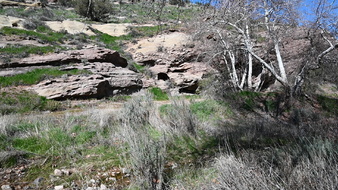 Enlarge photo 45
