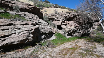 Enlarge photo 46