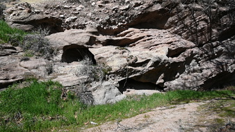 Enlarge photo 47