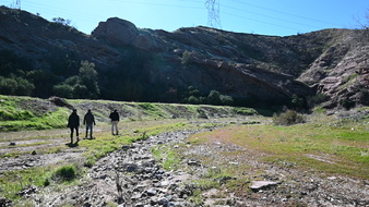 Enlarge photo 49