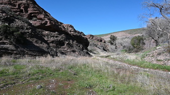 Enlarge photo 52