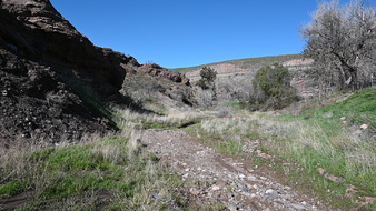 Enlarge photo 53