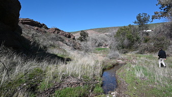 Enlarge photo 55
