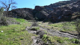 Enlarge photo 57