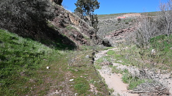 Enlarge photo 59
