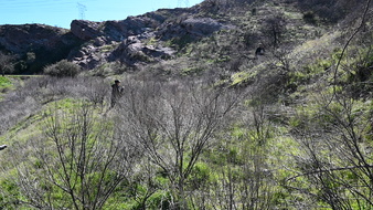 Enlarge photo 61