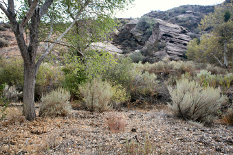 Enlarge photo 17