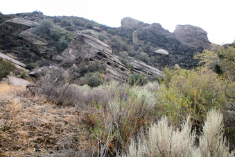 Enlarge photo 18