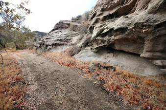 Enlarge photo 20
