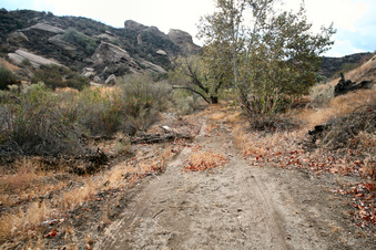Enlarge photo 21
