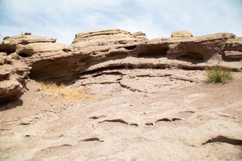 Enlarge photo 37