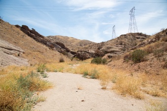 Enlarge photo 43