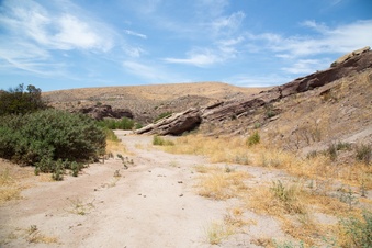 Enlarge photo 44