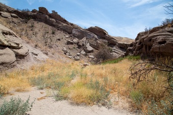 Enlarge photo 47