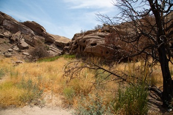 Enlarge photo 48