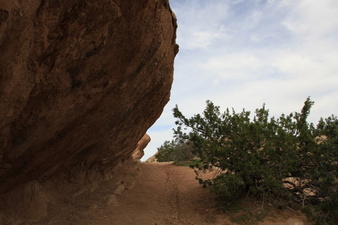 Enlarge photo 36