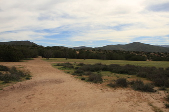 Enlarge photo 41