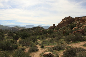 Enlarge photo 64