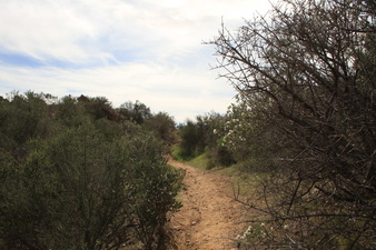 Enlarge photo 65