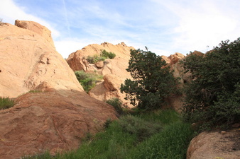 Enlarge photo 79