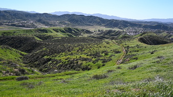 Enlarge photo 21