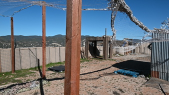 Enlarge photo 14