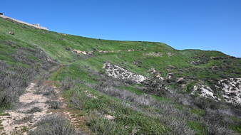 Enlarge photo 18