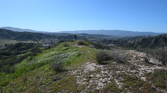 Enlarge photo 26
