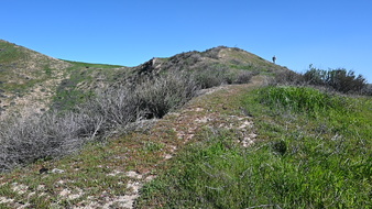 Enlarge photo 29